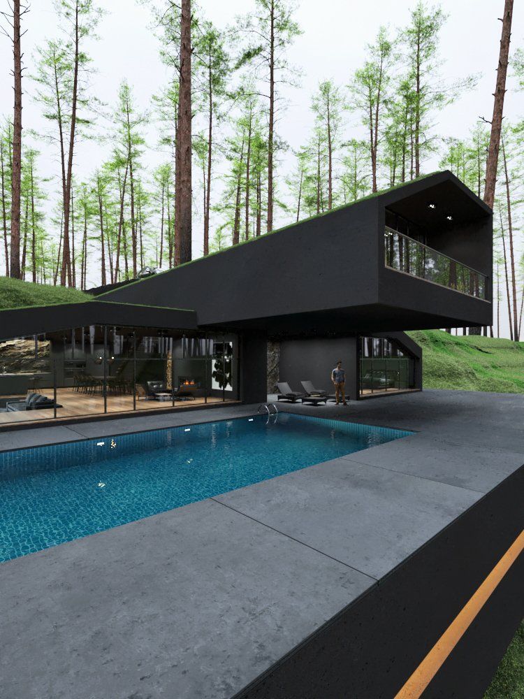 These 3D Renderings Of A Black Villa Tucked Away In The Woods Are Eye-Popping - Digg