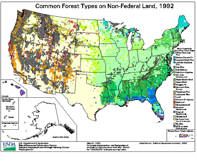 Where Tree Species are Naturally - D3d8775987e952ca820c53673c503cfd
