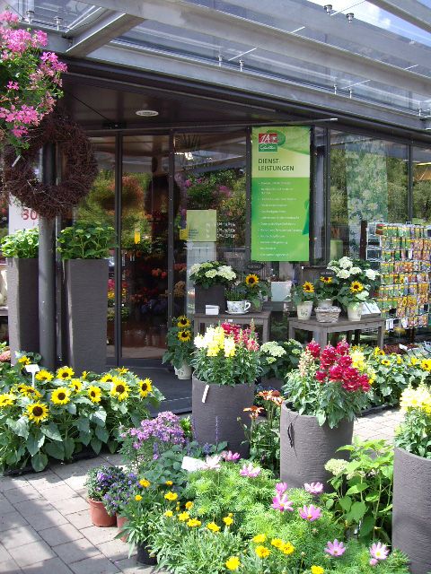 Bunte Blumenbepflanzung im Garten mit 1A Garten Zitzelsberger - ruinenmauer im garten Bunte Blumenbepflanzung im Garten mit 1A Garten Zitzelsberger - ruinenmauer im garten