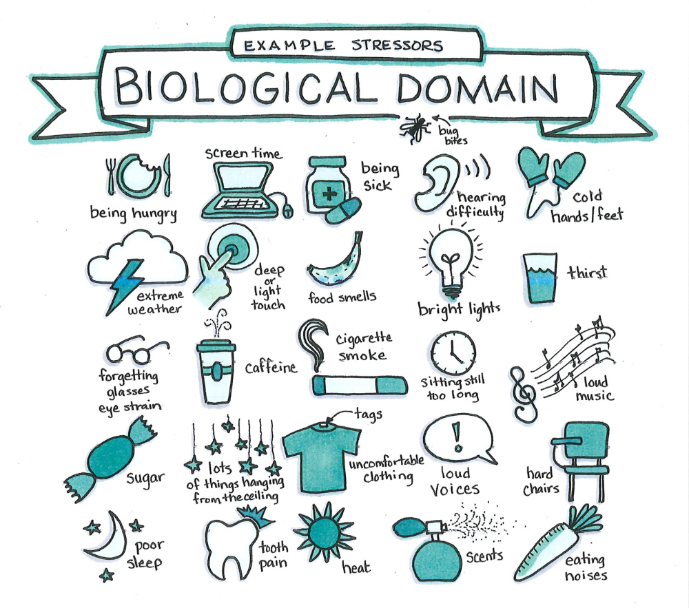 Example Stressors Biological Domain POPFASD Fetal Alcohol Example Stressors Biological Domain POPFASD Fetal Alcohol