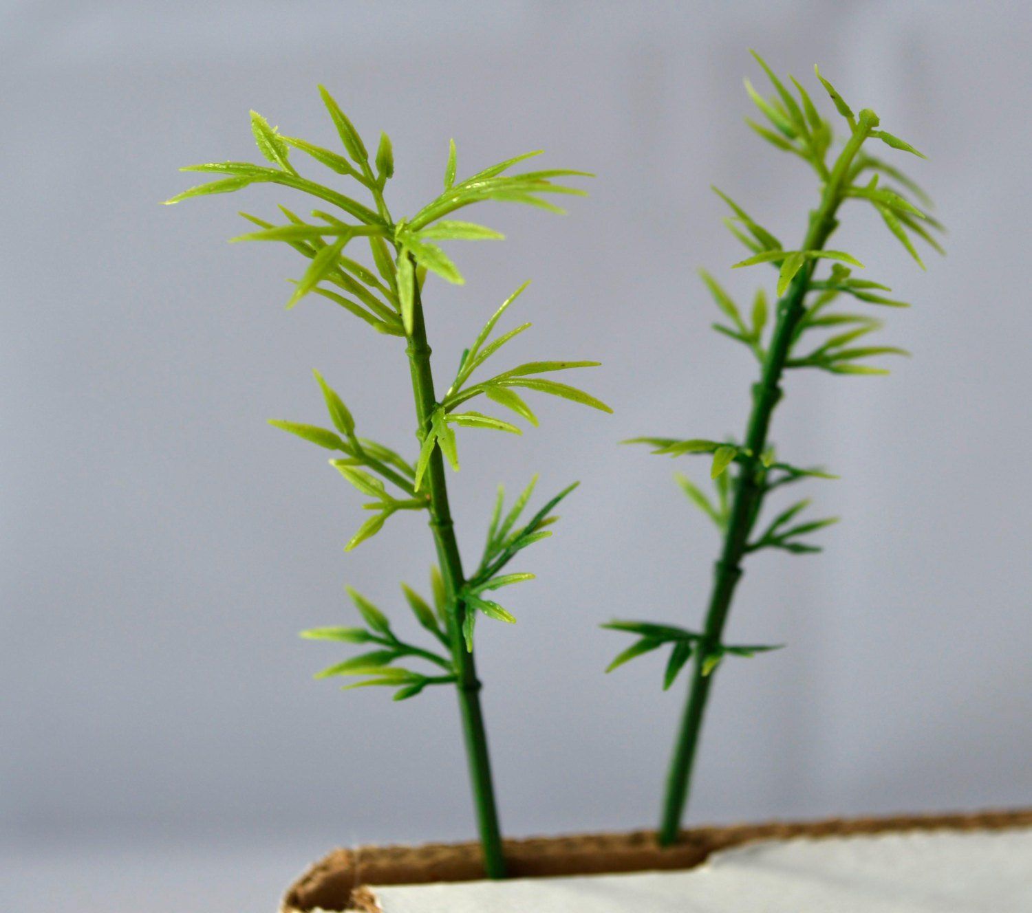 Bamboo Miniature Tree Garden Plants Terrarium Doll House Ornament Fairy Decoration AZ420163 - 2 TREES
