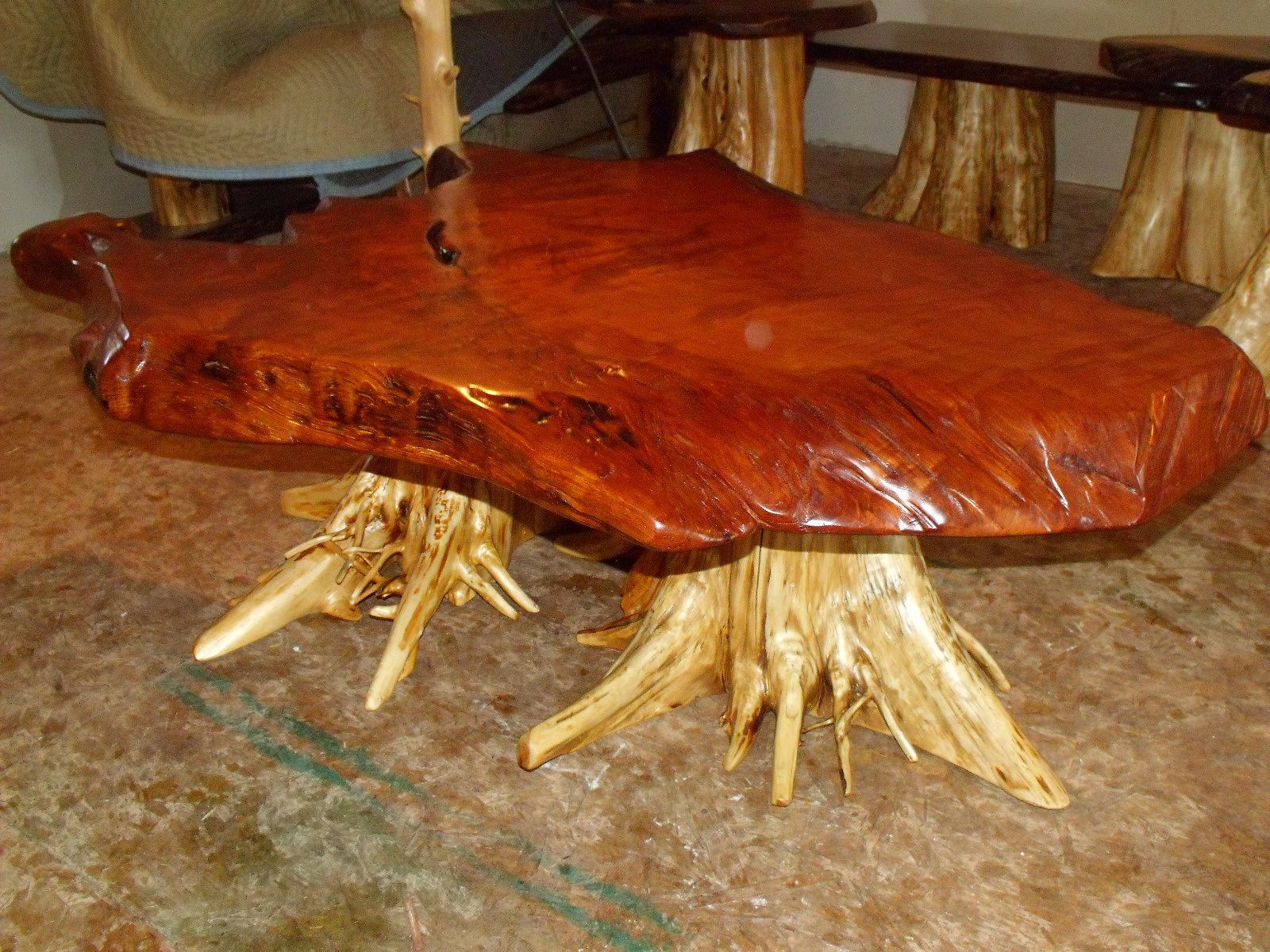 Redwood Coffee Table This Natural Edge Is A One Of Kind Center Piece On Cedar Stump Redwood Coffee Table This Natural Edge Is A One Of Kind Center Piece On Cedar Stump