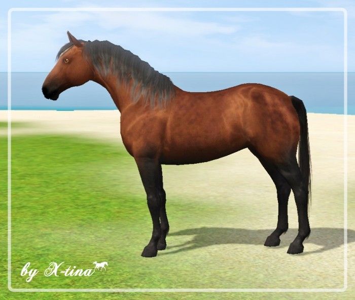 Barb horse by Xtina Sims 3 Downloads CC Caboodle Check more at http