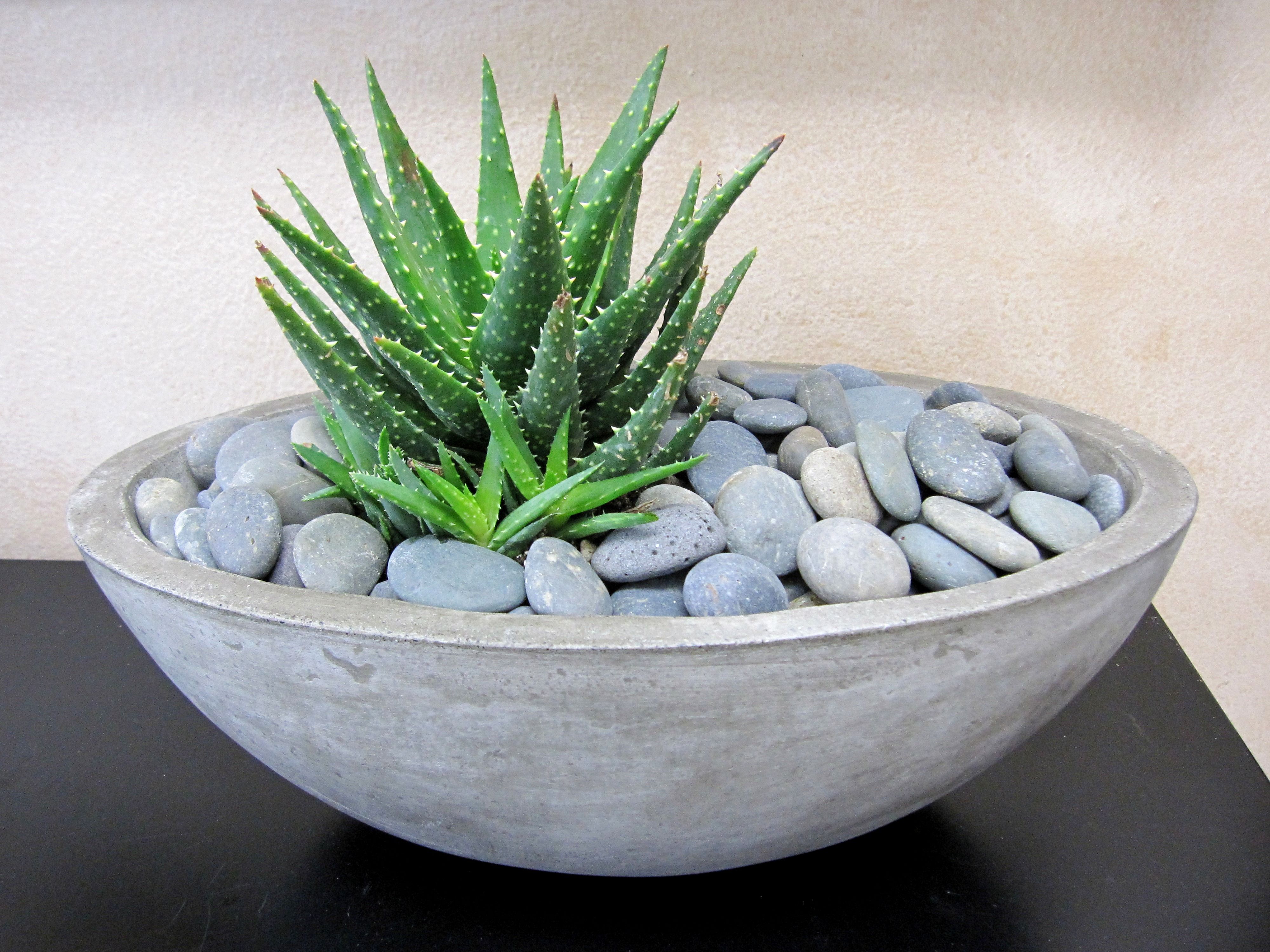 Cast Concrete Indoor Outdoor Decorative Succulent Planters