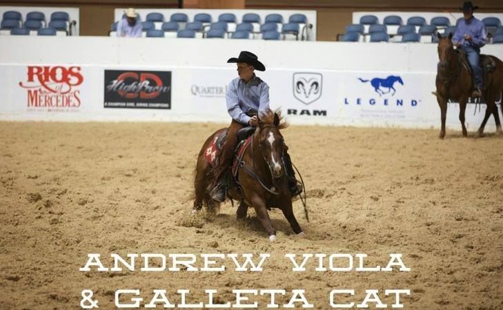 Pin On Cutting Horses