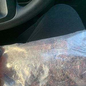 Jamaican Gold Irish Sea Moss (Raw, Wildcrafted) #irishsea DaRontez added a photo of their purchase #irishsea