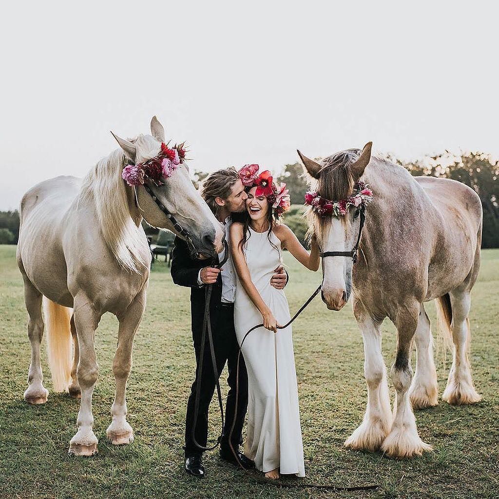Horses with flower crowns in Hawaii?! Could there be anything better