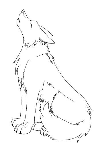Pin by Jayden Dougherty on Wolf Sketch | Wolf sketch, Animal drawings