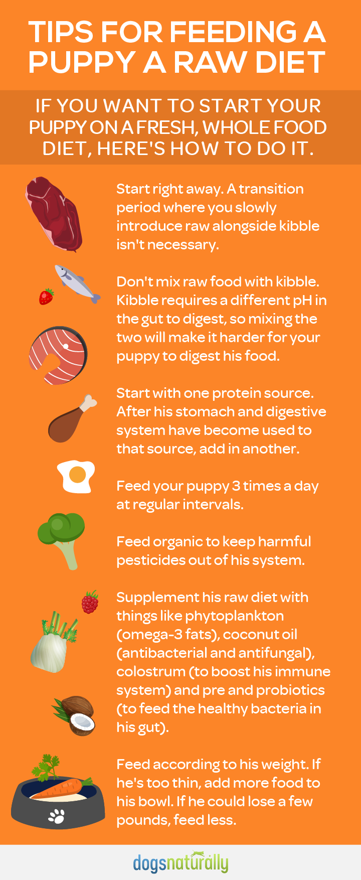 5 Tips For Raising A Puppy Dog Care Tips Dog Health Tips Puppies 5 Tips For Raising A Puppy Dog Care Tips Dog Health Tips Puppies