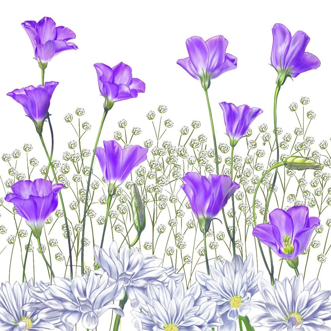 百咲 On Instagram トルコ桔梗完成 トルコ桔梗 絵画 グッズ販売 写実イラスト 写実絵画 ペンタブレット Clip Studio 在宅イラストレーター フリーランス 青い花 かすみ草 ペンタブレットで作成 ペンタブレット画 21 桔梗 青い花 絵画 百咲 On Instagram トルコ桔梗完成 トルコ桔梗 絵画 グッズ販売 写実イラスト 写実絵画 ペンタブレット Clip Studio 在宅イラストレーター フリーランス 青い花 かすみ草 ペンタブレットで作成 ペンタブレット画 21 桔梗 青い花 絵画