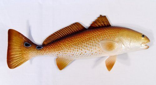 Replica Red Drum Fish Ocean Restaurant Wall Decor By Charlotte Fish Wall Decor Can Be Something As Simple And Inexpensive A Framed Fishing Poster Or Metal Art You Also Find Original Artwork Such