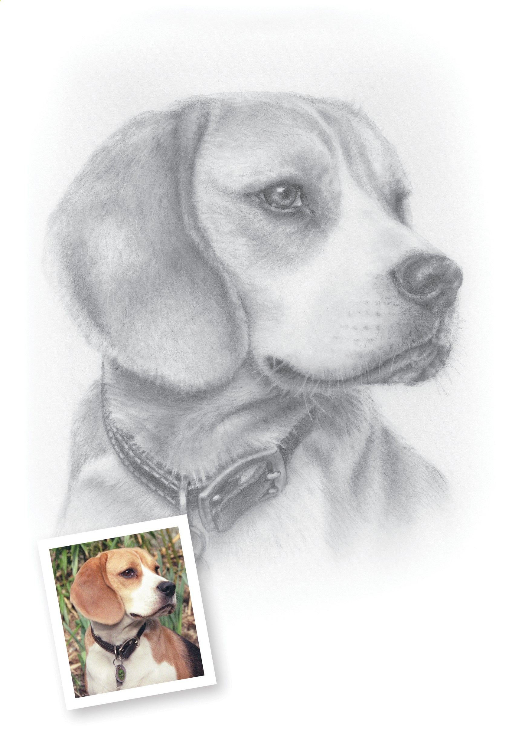 Pencil Portrait Mastery Pencil Portrait Mastery Pencil