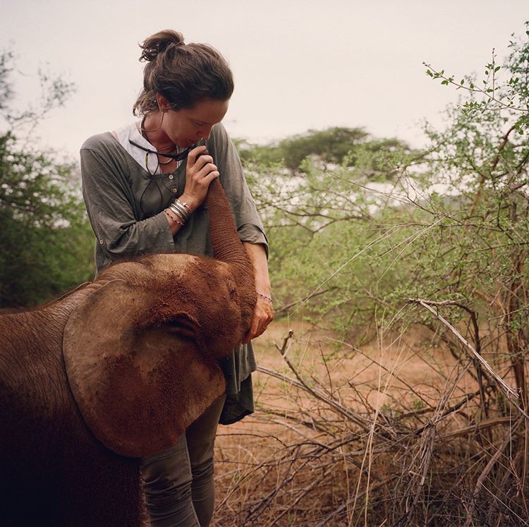 Support for orphan baby elephant. Kenya Animal Baby elephant
