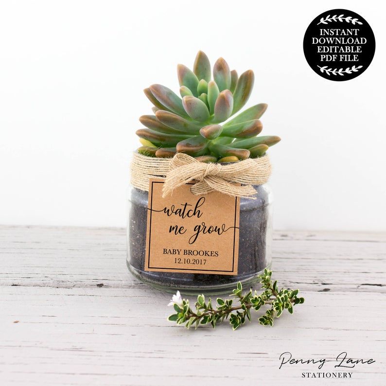 Succulent Small Plant Cactus Favor Tags Printable Love Makes Things Grow Baby Shower Thank You Favor Tags PDF