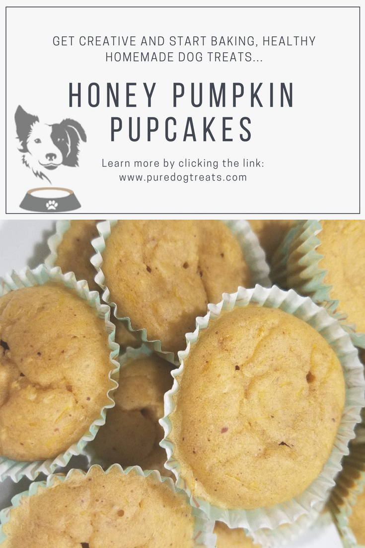 Freshly baked 'Honey Pumpkin Pupcakes'. Healthy Dog Treats Homemade, Dog Treats Homemade Recipes, Diy Dog Treats, Puppy Treats, Healthy Dog Food Recipes, Homemade Dog Food, Dog Treat Recipes, Baby Recipes, Food Dog