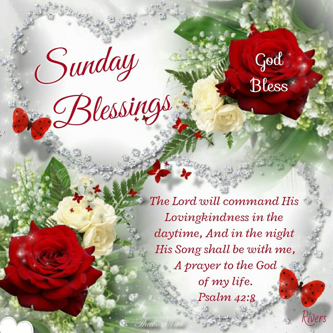 40+ Best Collections Sunday Blessings My Love