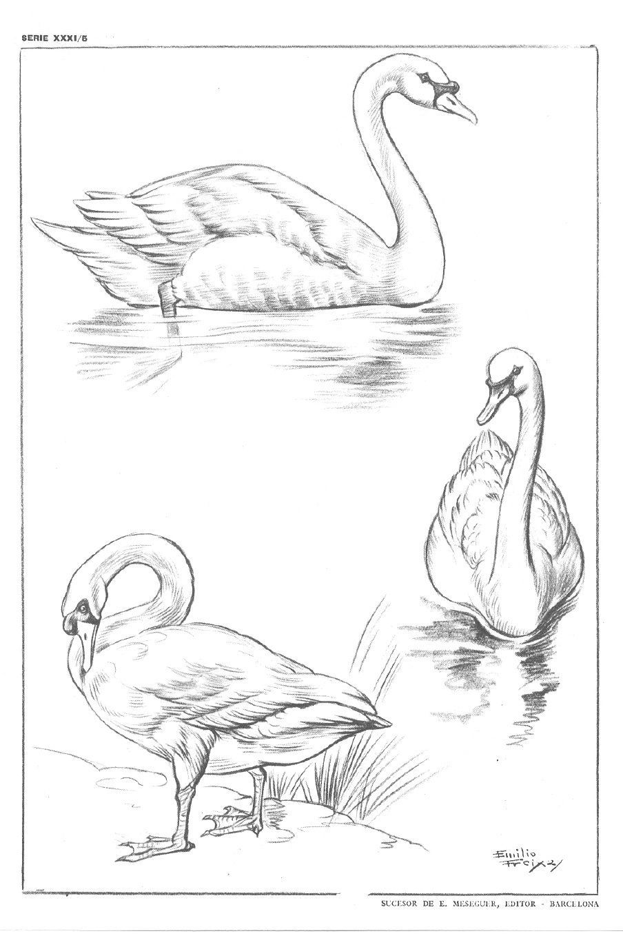 Pencil Drawings Of Animals Animal Sketches Bird Drawings Art pencil-drawings-of-animals-animal-sketches-bird-drawings-art
