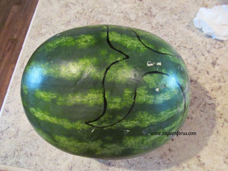 How to Carve a Unique Whale Watermelon - My Turn for Us | Obst Schnitzen Einfach