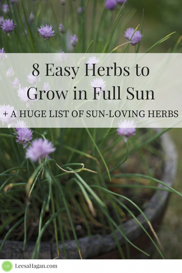 You May Enjoy gardening ideas With One Of These Useful Tips