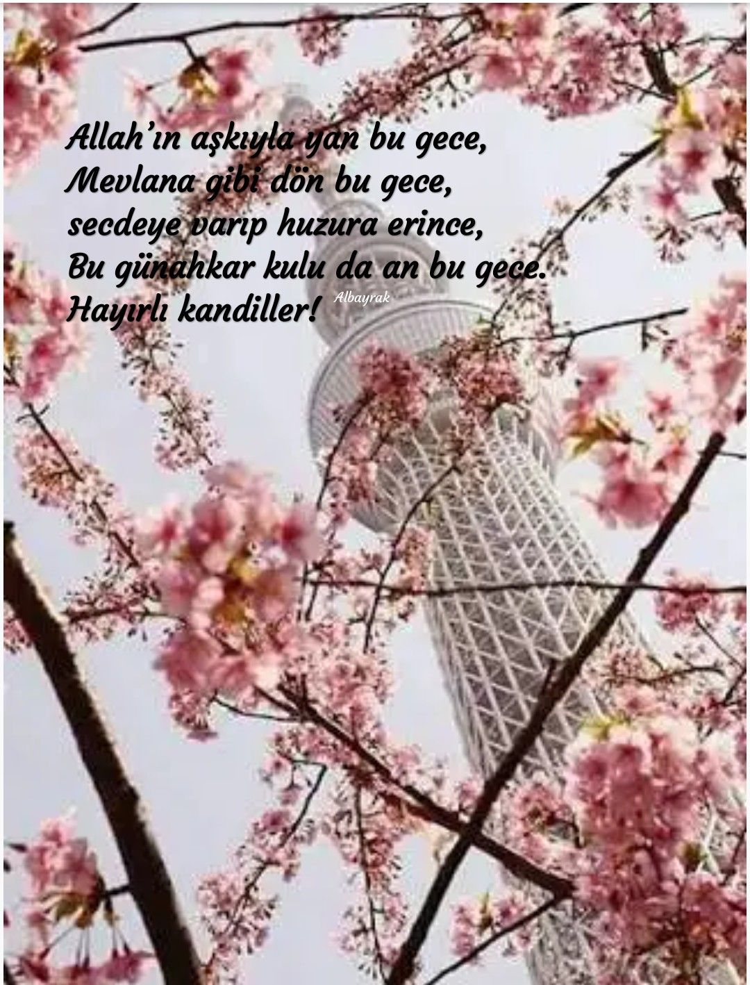 Allah In Askiyla Yan Bu Gece Mevlana Gibi Don Bu Gece Secdeye Varip Huzura Erince Bu Gunahkar Kulu Da An Bu Gece Hayirli Vine Gece Dualar Allah In Askiyla Yan Bu Gece Mevlana Gibi Don Bu Gece Secdeye Varip Huzura Erince Bu Gunahkar Kulu Da An Bu Gece Hayirli Vine Gece Dualar