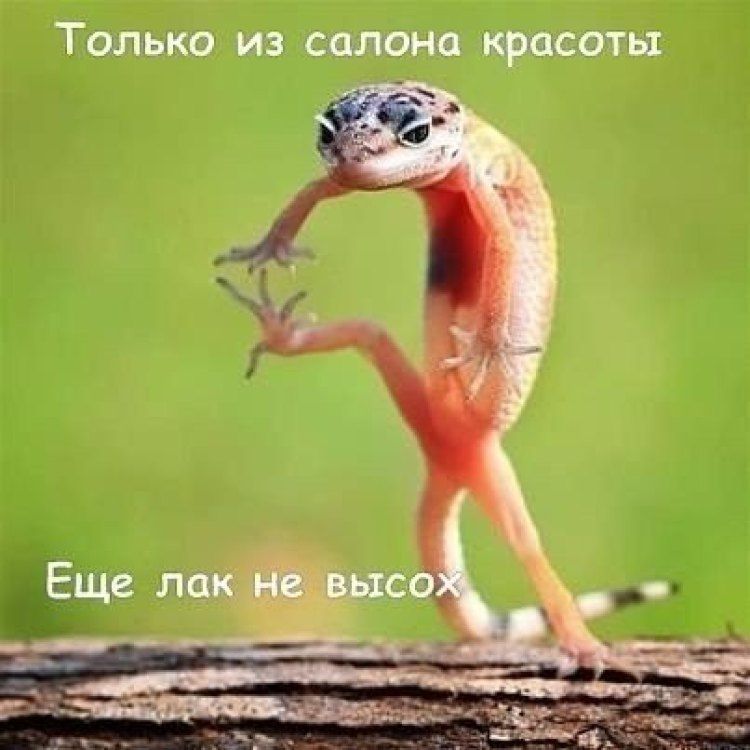 Смешные картинки о салонах красоты, поздравлением юбилеем лет