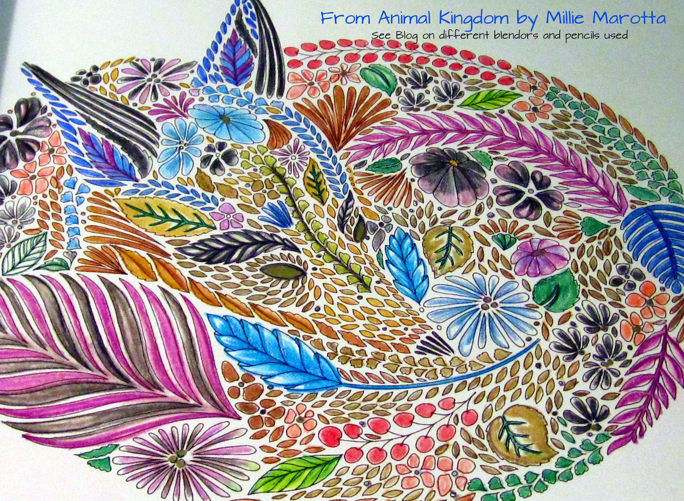 Another Great Illustration Done By Millie Marotta In The Animal Kingdom Coloring Book I Used Water Color Pencils And Tombow Blender