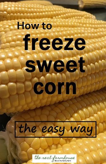 How To Freeze Sweet Corn And A Trip To The Farm Recipe Canning Recipes Frozen Meals Sweet Corn