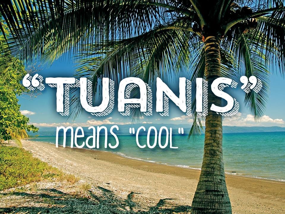 In Costa Rica Btw Tuanis Means Cool Or Awesome Costarica In Costa Rica Btw Tuanis Means Cool Or Awesome Costarica Dichos Spanish