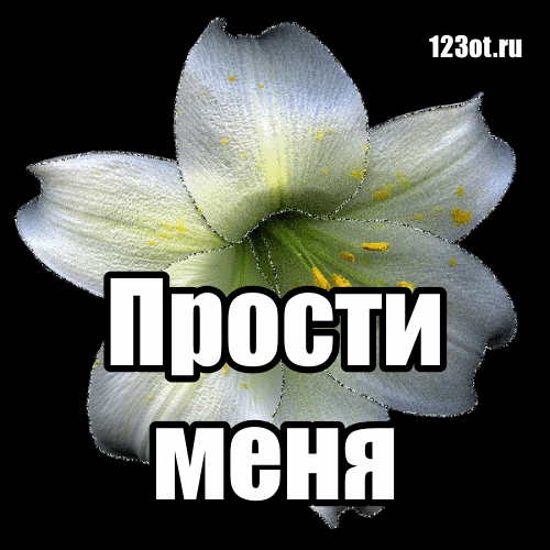 Завучу днем, картинки с надписями для девушки прости