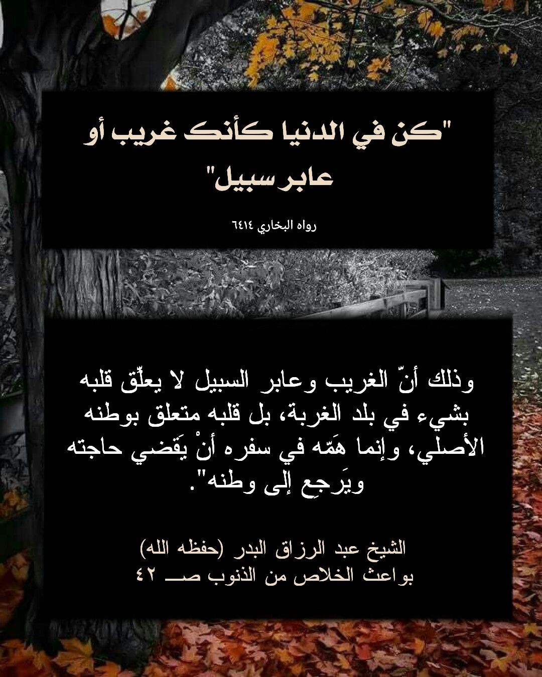 عبد الرزاق البدر حديث وتعليق نفيس أحاديث نبوية Beautiful Words Cards Against Humanity Cards