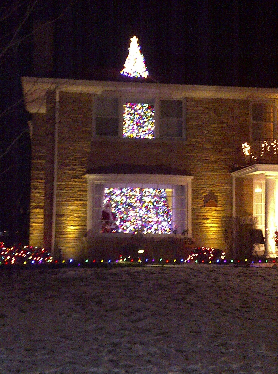 House With The Tree Through It In Sauganash Chicago