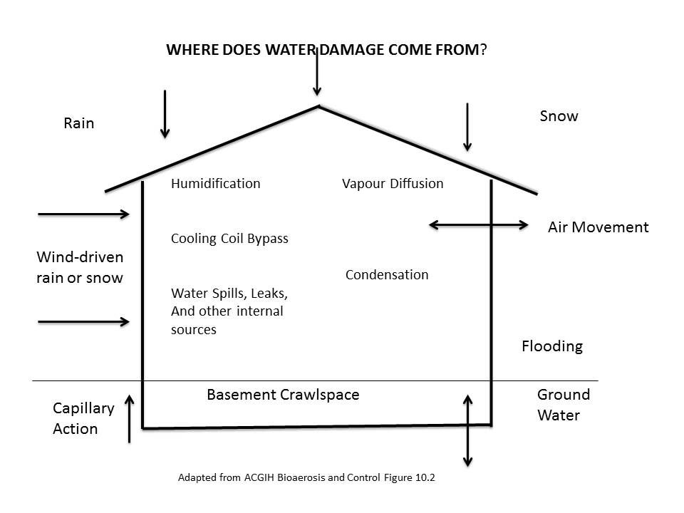 Diagram explaining where the water comes from in a water damage or