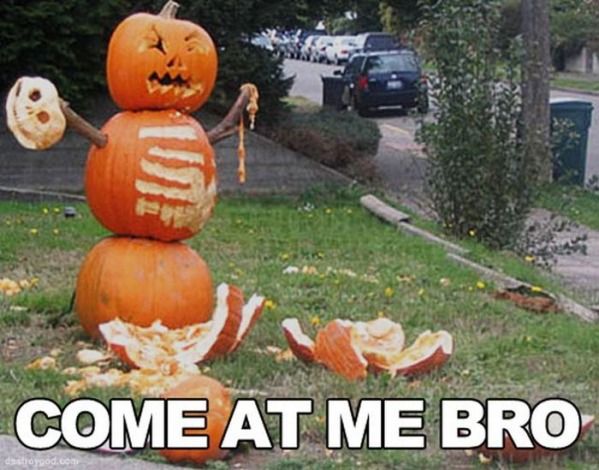 Surprise Me With Images Halloween Funny Halloween Fun