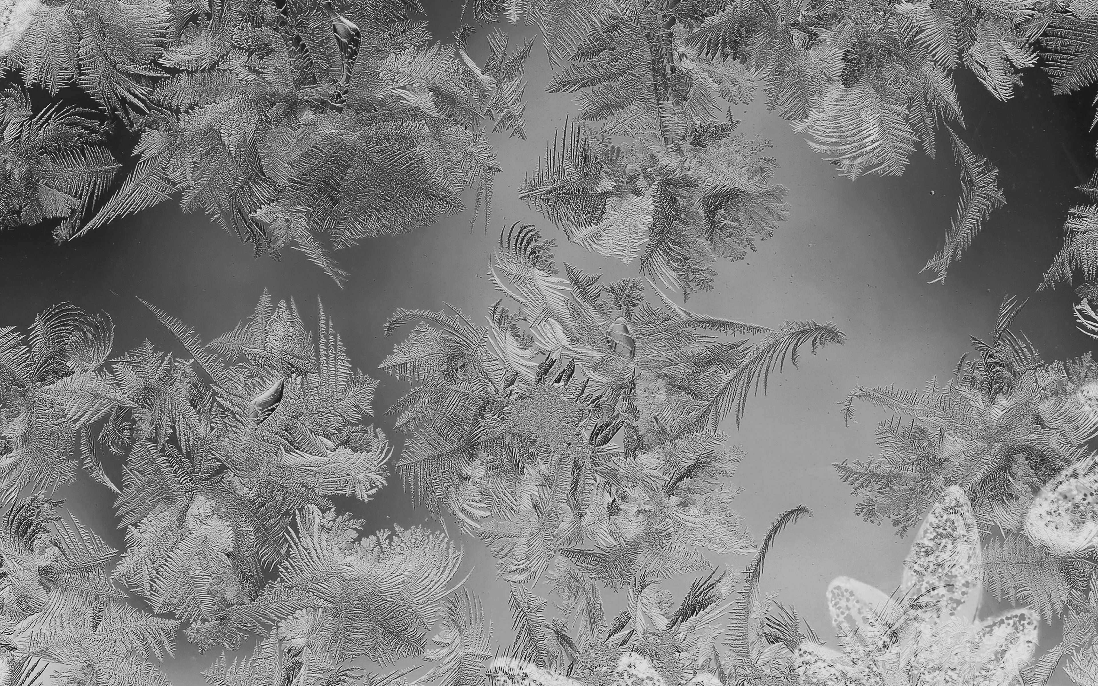 Black And White Christmas Wallpaper Christmaswallpaper Black And White Christmas Wallpaper Christmaswallpaper