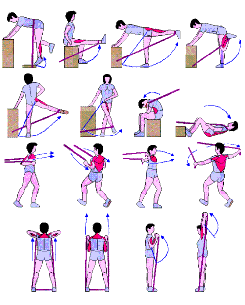 Elasticas ejercicios con espalda bandas