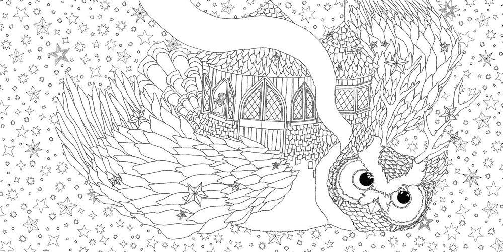 The Time Garden A Magical Journey and Coloring Book Daria Song