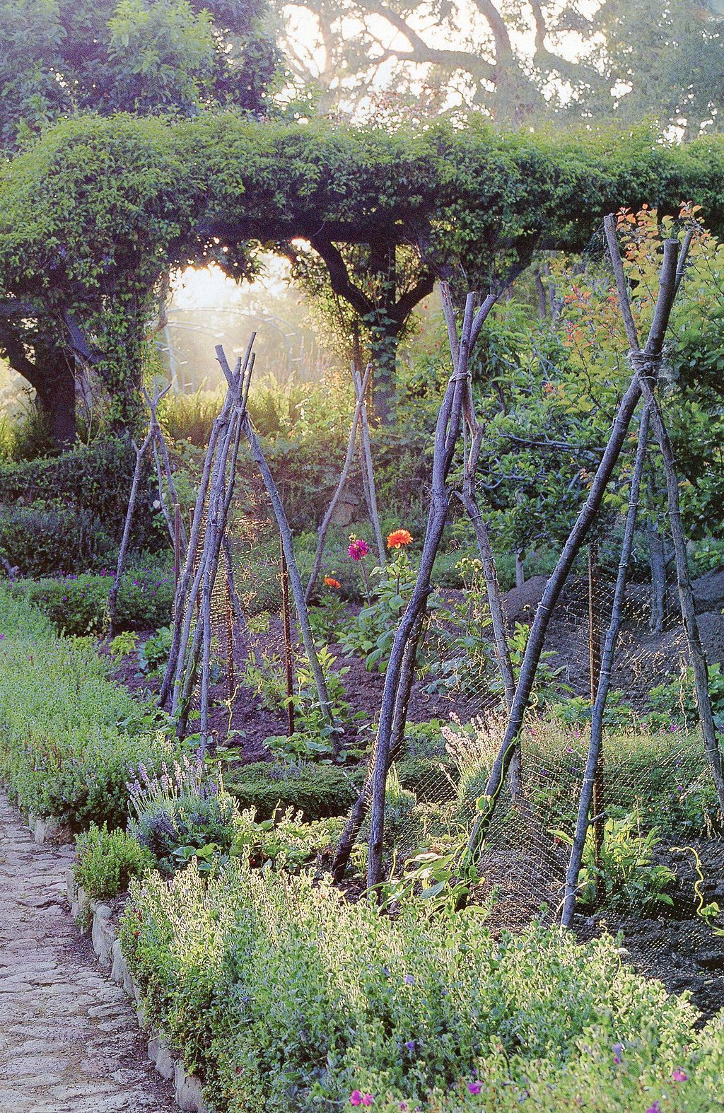 gorgeous 22 garden bed border for your vegetable https kidmagz com 22 garden bed border for your ve vegetable garden design garden trellis garden inspiration garden plot design on gorgeous 22 garden bed border for your vegetable https kidmagz com 22 garden bed border for your ve vegetable garden design garden trellis garden inspiration vegetable garden design
