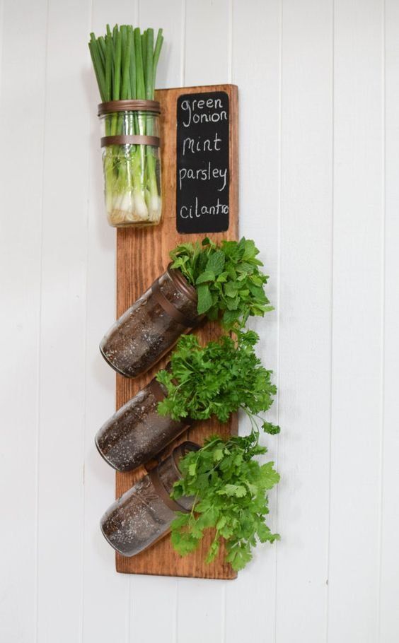6 ideas para realizar un huerto de hierbas y especias en tu cocina
