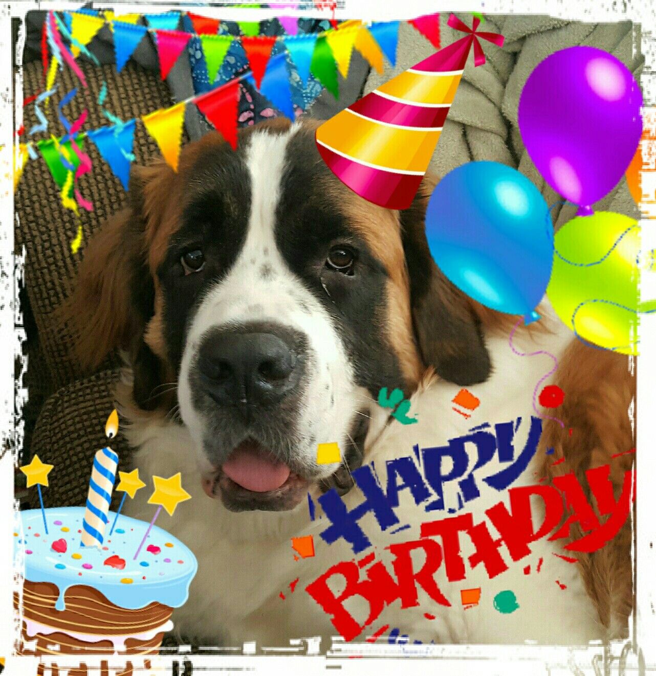 Happy 2nd Birthday, Bodhi! Happy 2nd birthday, Birthday