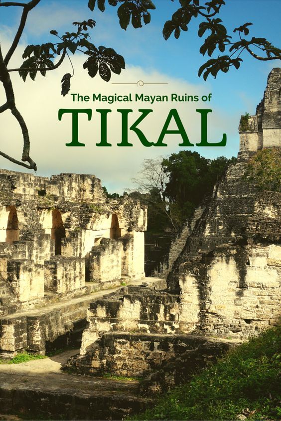 What Is The Thesis Of A Research Essay A Photo Essay Of Tikal National Park Set In The Rain Forests Of N Guatemala English 101 Essay also English Literature Essay Questions The Magical Mayan Ruins Of Tikal Tikal Photo Essay And Park Reflection Paper Essay