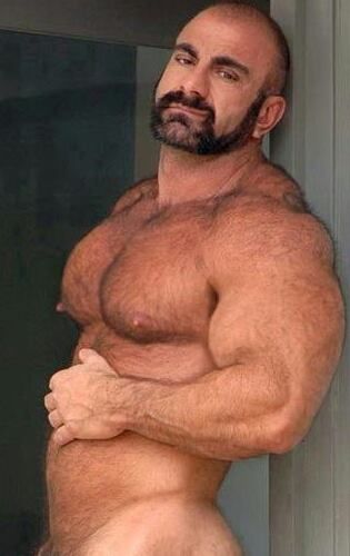 fee hairy pecs sites Fee hairy pecs sites