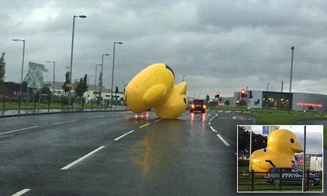 giant inflatable duck is spotted rolling down busy road in glasgow