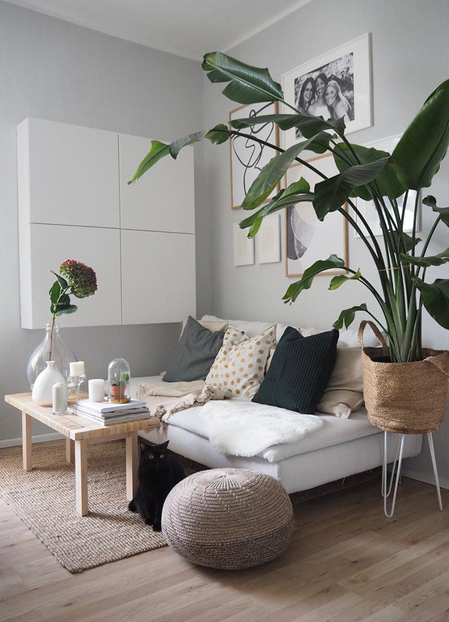 Kleine Wohnung? Diese 5 Teile von Ikea sparen richtig Platz