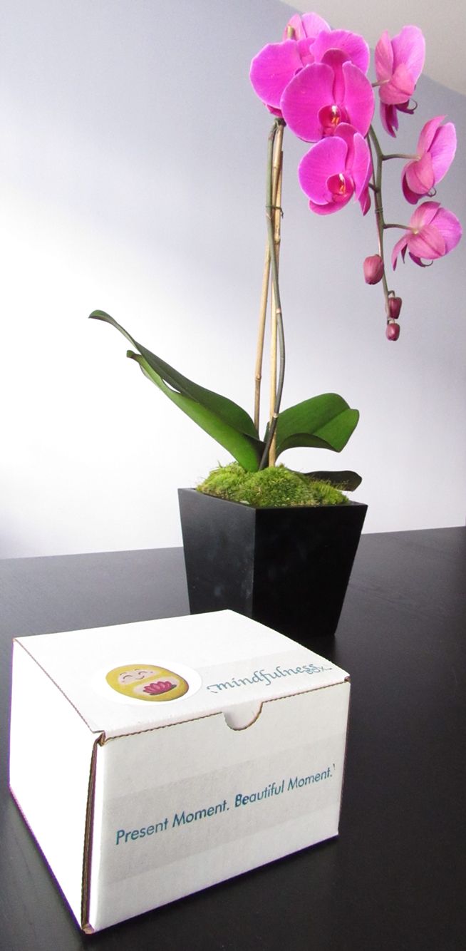 mindful box mindful box