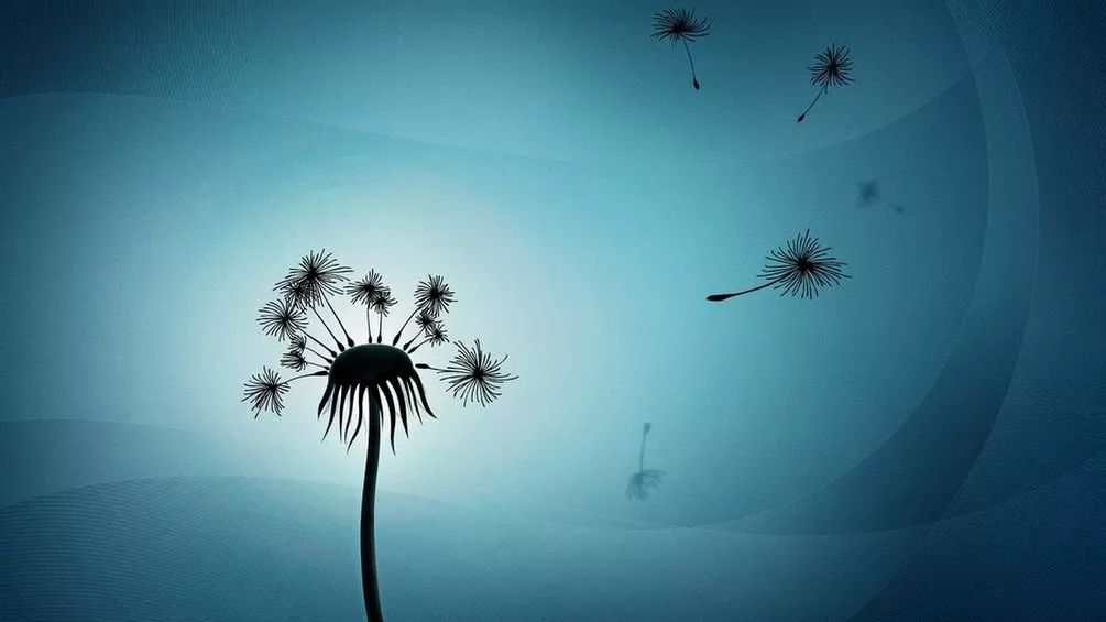 Pin On Hd Wallpapers