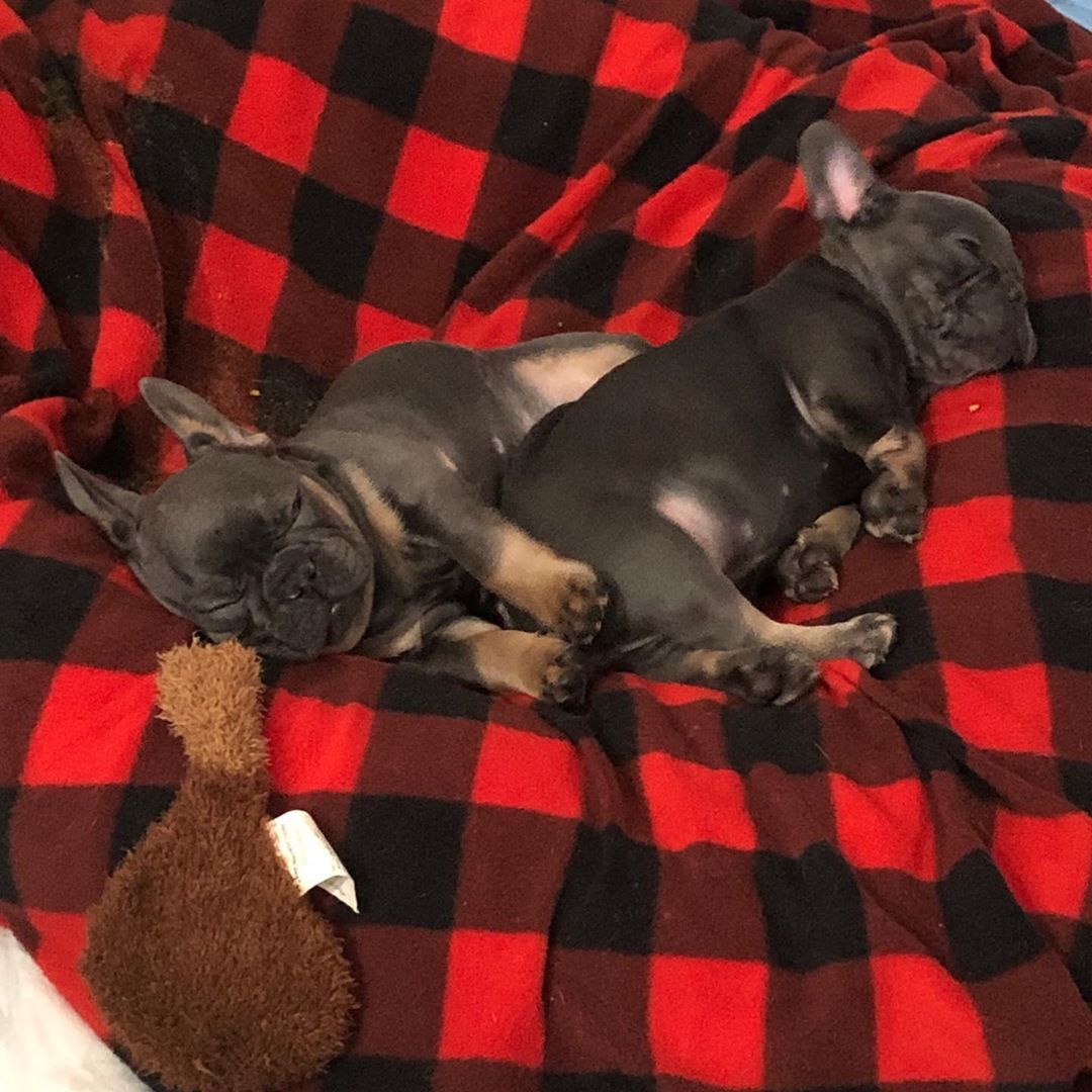 All Snug On This Super Windy Southern California Day