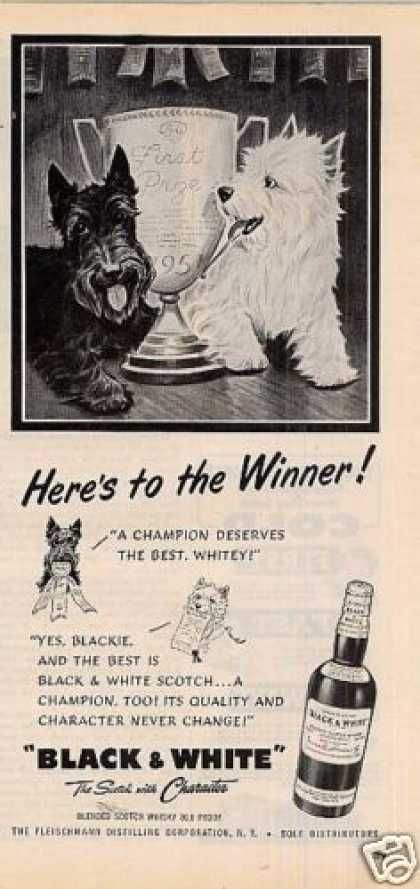 Vintage Animal Advertisements Of The 1950s Page 7 Black And White Dog Scottie Dog Scottie