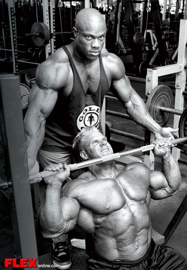 Flexonline Bodybuilding Bodybuilders Supplements For Memory Flexonline Bodybuilding Bodybuilders Supplements For Memory