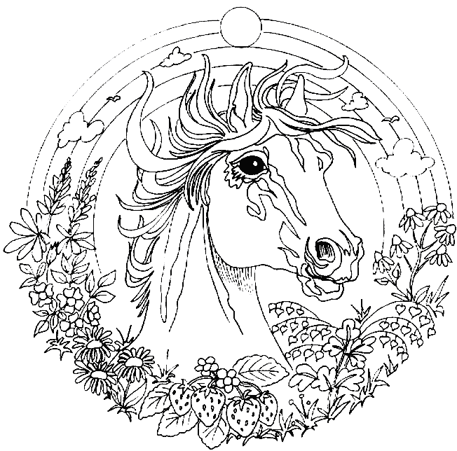 Adult Coloring Book Enchanted Unicorn Mandala
