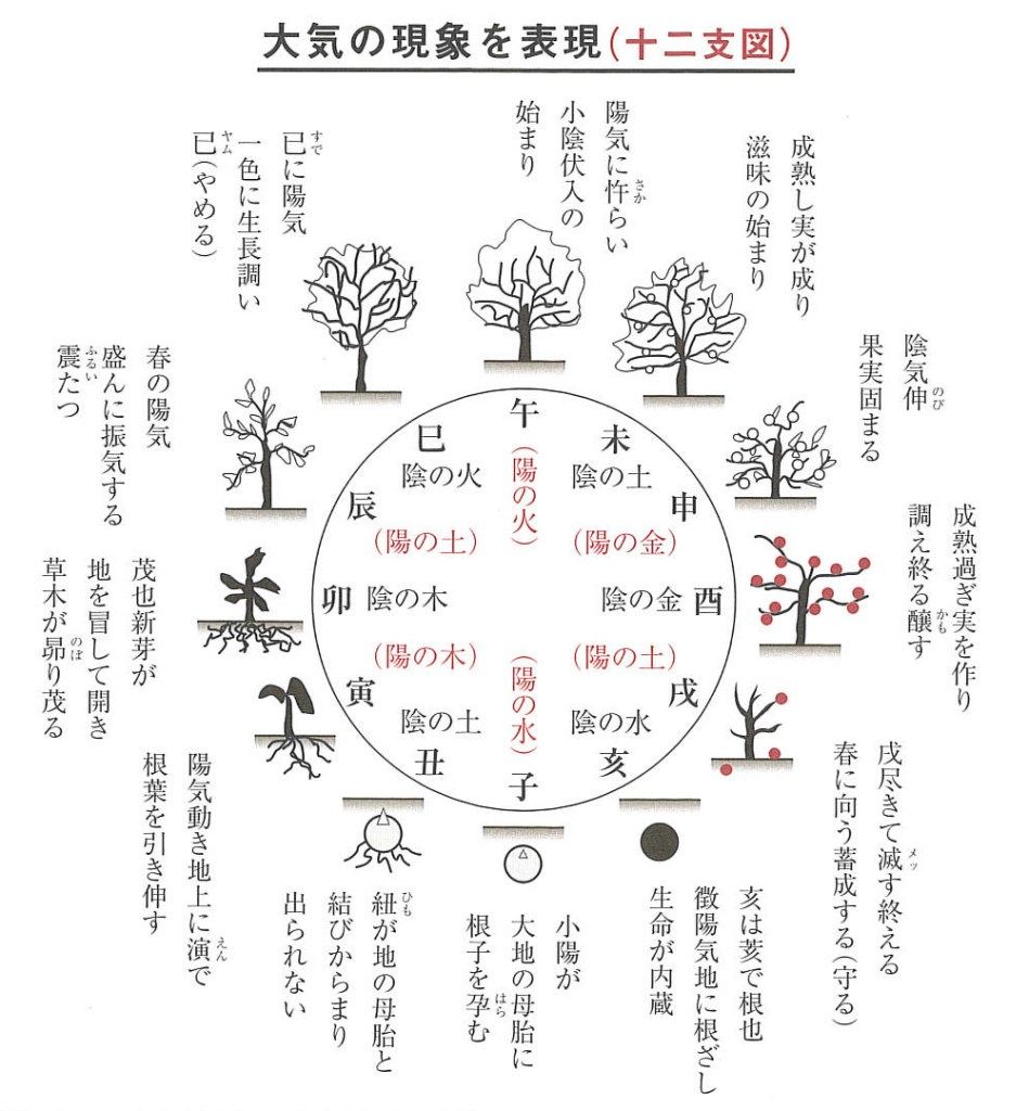 五行 太陽歴 の検索結果 Yahoo 検索 画像 21 四柱 気学 九星 五行 太陽歴 の検索結果 Yahoo 検索 画像 21 四柱 気学 九星